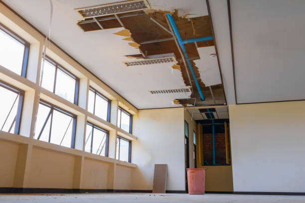 Hudson, TX Water damage restoration Pros