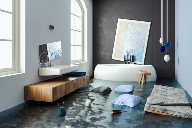 Best Mold removal after water damage  in Hudson, TX
