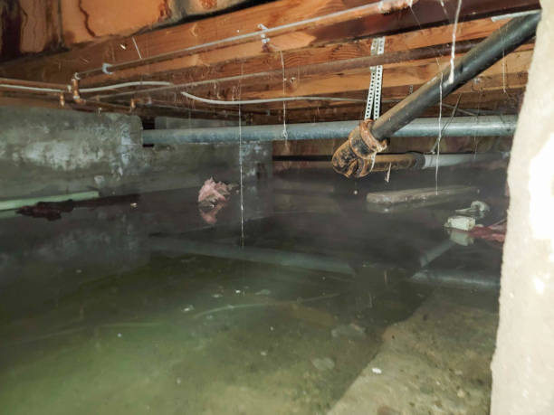 Best Sewage cleanup and water damage restoration  in Hudson, TX