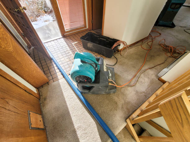 Trusted Hudson, TX Water damage restoration Experts