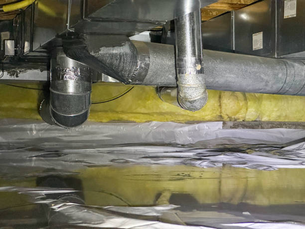 Best Carpet water damage restoration  in Hudson, TX