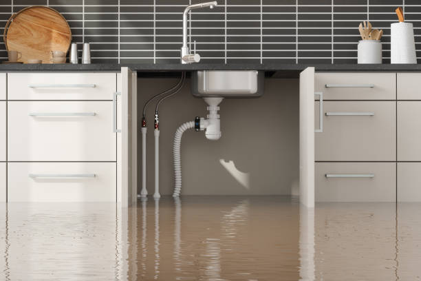 Best Local water damage restoration  in Hudson, TX