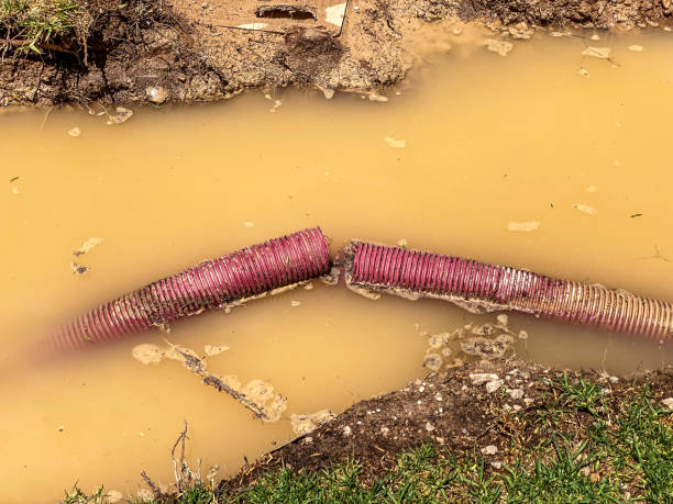 Best 24/7 water damage repair  in Hudson, TX