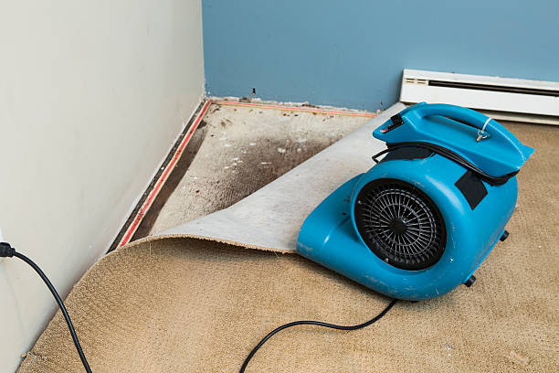 Local water damage restoration in Hudson, TX